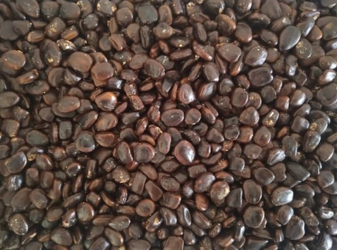 Tamarind seeds used for industrial and food applications
